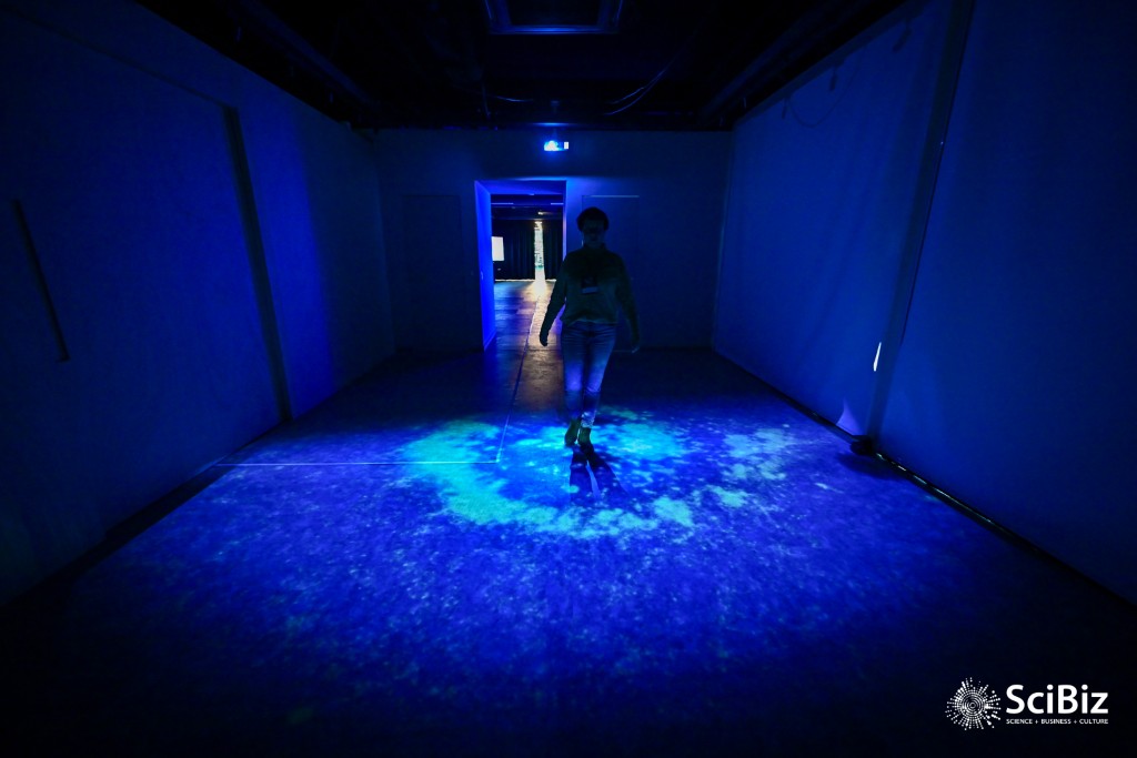 Mezanino Inova - foto 10